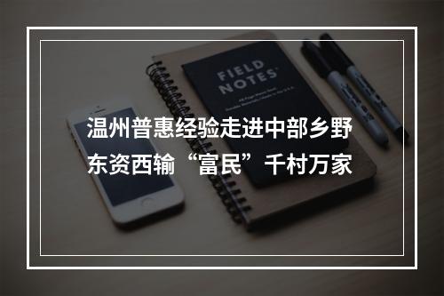 温州普惠经验走进中部乡野 东资西输“富民”千村万家