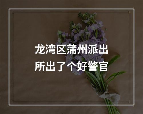龙湾区蒲州派出所出了个好警官