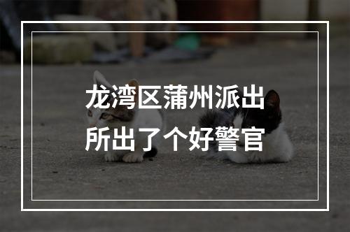龙湾区蒲州派出所出了个好警官