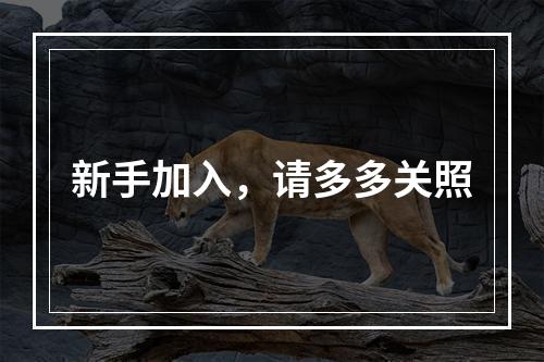新手加入，请多多关照