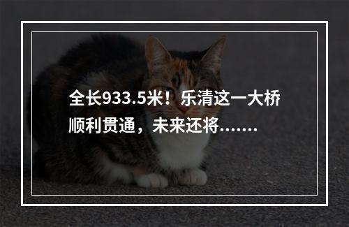 全长933.5米！乐清这一大桥顺利贯通，未来还将......