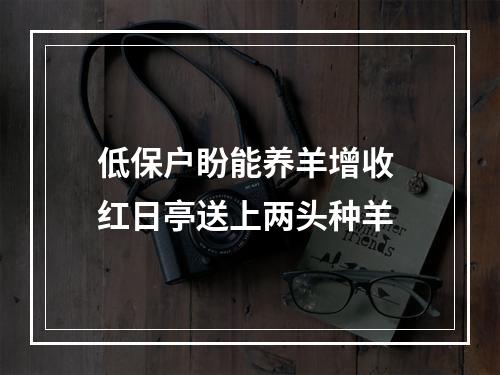 低保户盼能养羊增收 红日亭送上两头种羊