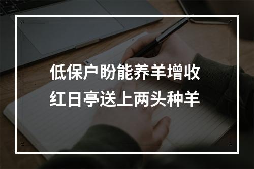低保户盼能养羊增收 红日亭送上两头种羊