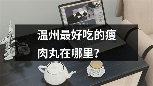 温州最好吃的瘦肉丸在哪里？