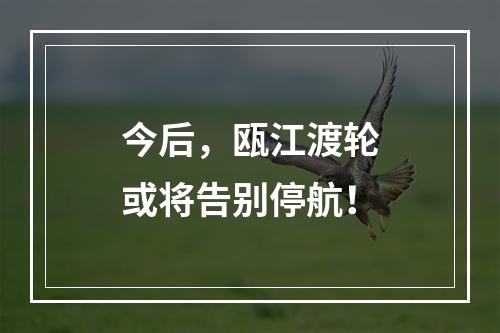 今后，瓯江渡轮或将告别停航！