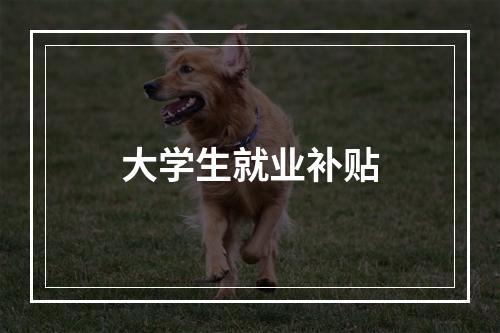 大学生就业补贴