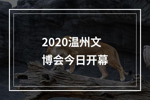 2020温州文博会今日开幕