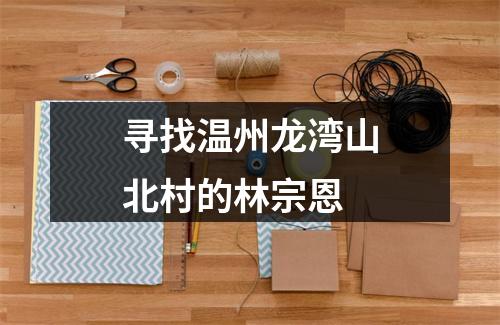 寻找温州龙湾山北村的林宗恩