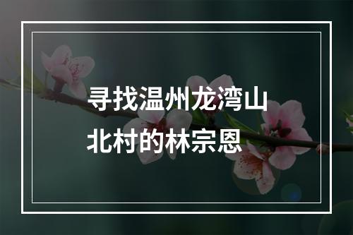 寻找温州龙湾山北村的林宗恩