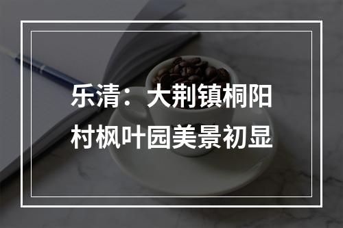 乐清：大荆镇桐阳村枫叶园美景初显