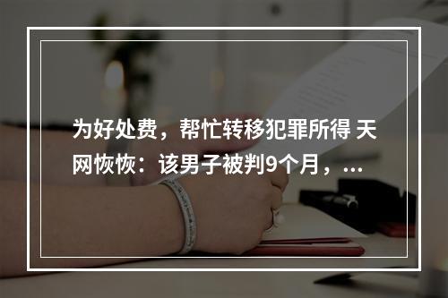 为好处费，帮忙转移犯罪所得 天网恢恢：该男子被判9个月，罚3000元