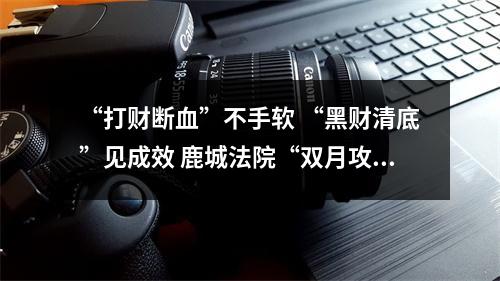 “打财断血”不手软 “黑财清底”见成效 鹿城法院“双月攻坚”全力推进“六清”行动