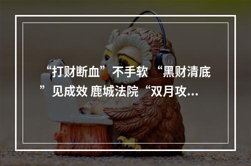 “打财断血”不手软 “黑财清底”见成效 鹿城法院“双月攻坚”全力推进“六清”行动