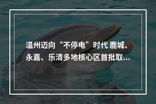 温州迈向“不停电”时代 鹿城、永嘉、乐清多地核心区首批取消计划停电