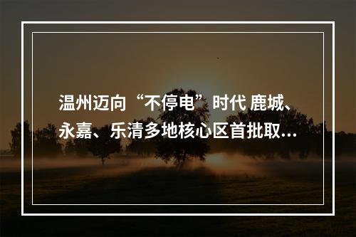温州迈向“不停电”时代 鹿城、永嘉、乐清多地核心区首批取消计划停电