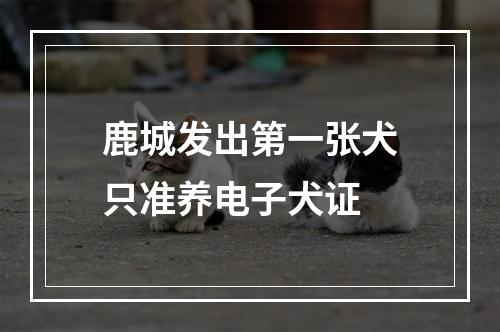 鹿城发出第一张犬只准养电子犬证