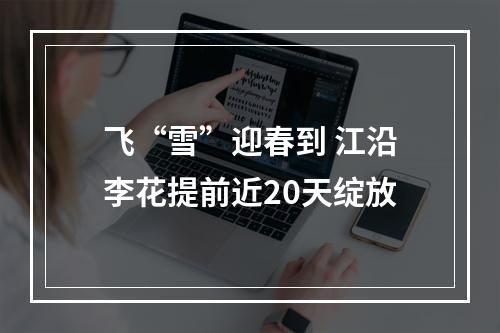 飞“雪”迎春到 江沿李花提前近20天绽放