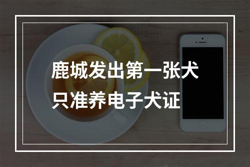 鹿城发出第一张犬只准养电子犬证