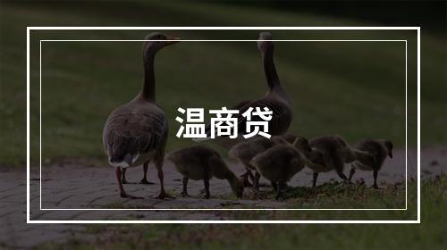温商贷
