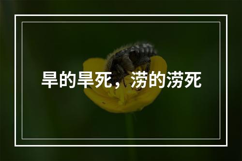 旱的旱死，涝的涝死