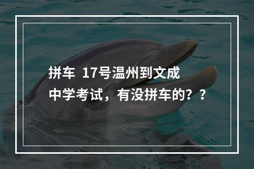 拼车  17号温州到文成中学考试，有没拼车的？？