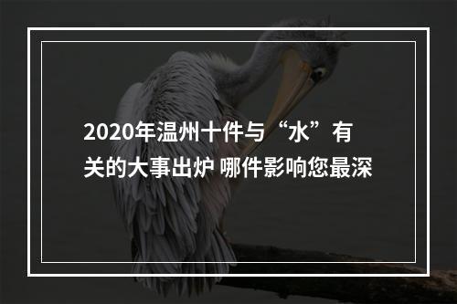2020年温州十件与“水”有关的大事出炉 哪件影响您最深