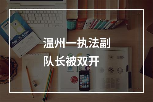 温州一执法副队长被双开