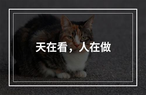 天在看，人在做