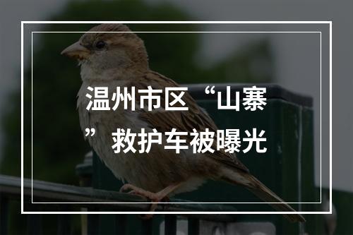温州市区“山寨”救护车被曝光