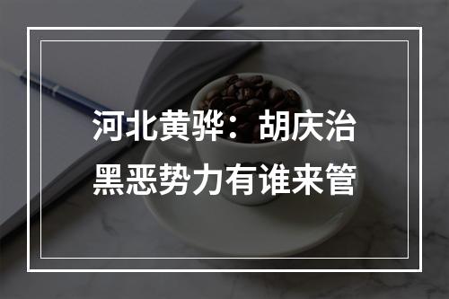 河北黄骅：胡庆治黑恶势力有谁来管