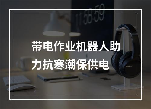 带电作业机器人助力抗寒潮保供电