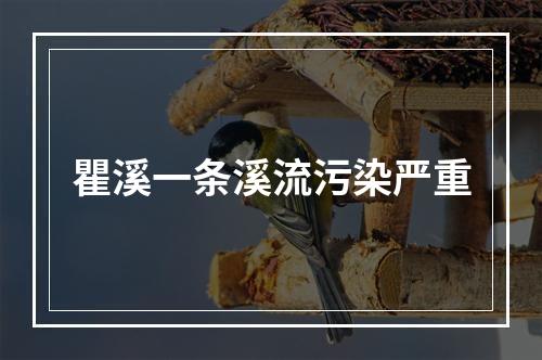 瞿溪一条溪流污染严重
