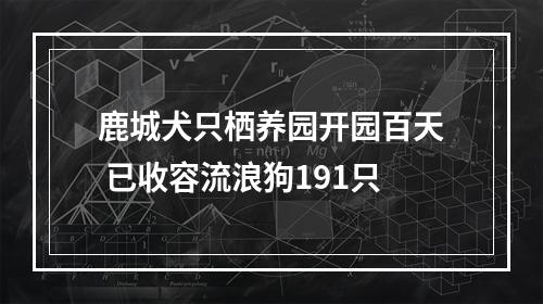 鹿城犬只栖养园开园百天 已收容流浪狗191只