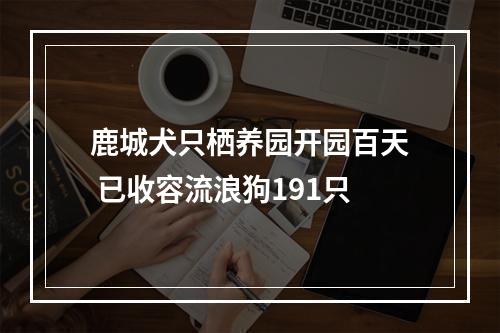 鹿城犬只栖养园开园百天 已收容流浪狗191只