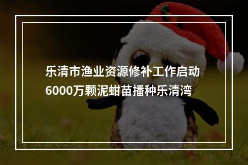 乐清市渔业资源修补工作启动 6000万颗泥蚶苗播种乐清湾