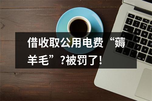 借收取公用电费“薅羊毛”?被罚了!