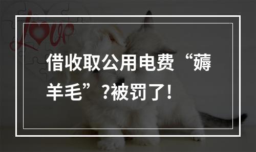 借收取公用电费“薅羊毛”?被罚了!