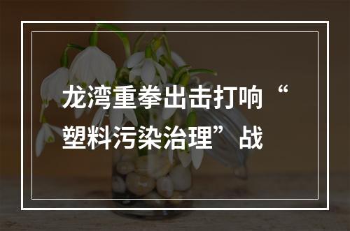龙湾重拳出击打响“塑料污染治理”战