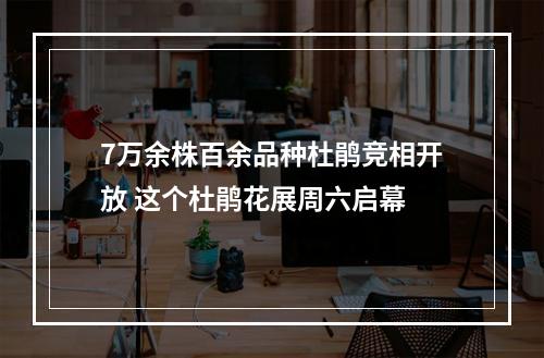 7万余株百余品种杜鹃竞相开放 这个杜鹃花展周六启幕