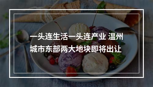 一头连生活一头连产业 温州城市东部两大地块即将出让