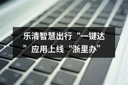 乐清智慧出行“一键达”应用上线“浙里办”