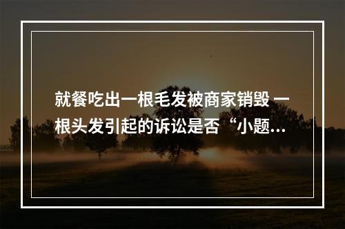 就餐吃出一根毛发被商家销毁 一根头发引起的诉讼是否“小题大做” 听听法官怎么说