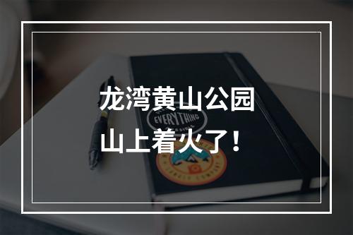 龙湾黄山公园山上着火了！
