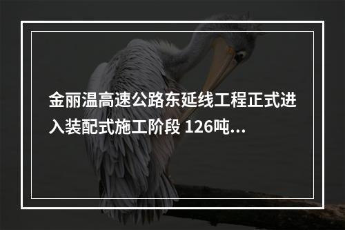 金丽温高速公路东延线工程正式进入装配式施工阶段 126吨立柱“搭积木”吊装