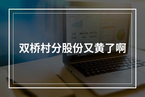 双桥村分股份又黄了啊