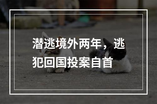 潜逃境外两年，逃犯回国投案自首