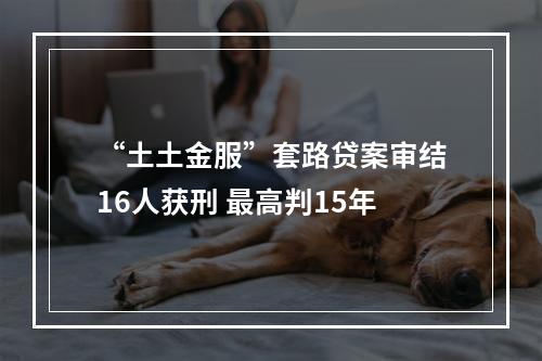 “土土金服”套路贷案审结16人获刑 最高判15年