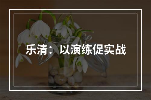 乐清：以演练促实战