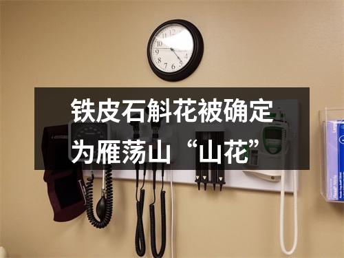 铁皮石斛花被确定为雁荡山“山花”