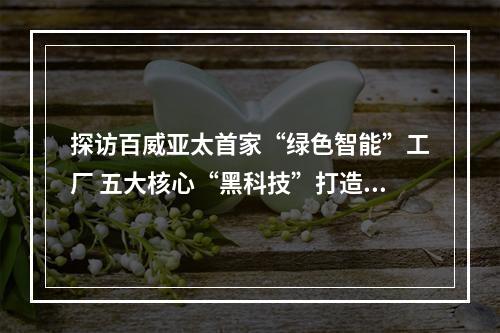 探访百威亚太首家“绿色智能”工厂 五大核心“黑科技”打造全球标杆